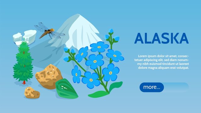 Alaska Isometric Web Banner