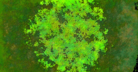 abstract colorful watercolor background bg