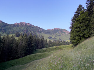 Lütispitz beim Säntisin der  Schweiz