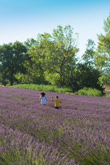 people in a beautiful lavender field between perfume and blue violet color