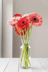 Bright gerbera daisies in white vase on table