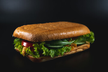 Fresh and tasty Italian panini, sandwich with vegetables, sauce, salad, mushrooms, tomato and cucumber. Black background