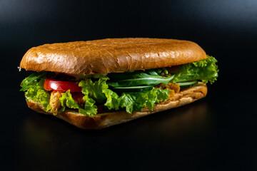 Fresh and tasty Italian panini, sandwich with vegetables, sauce, salad, mushrooms, tomato and cucumber. Black background