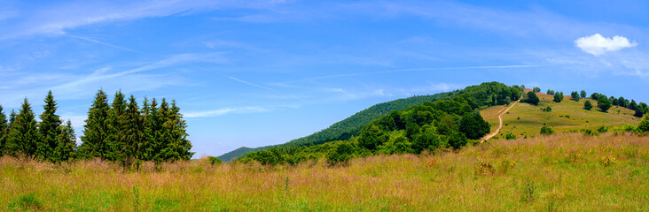 Fototapeta na wymiar Cindrel Romanian mountains panoramic view, Glade Rose