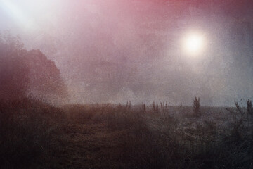 A moody horror concept, of a field at night with at glowing mysterious light. On a foggy spooky...