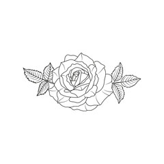 Rose flower bouquet line art isolated