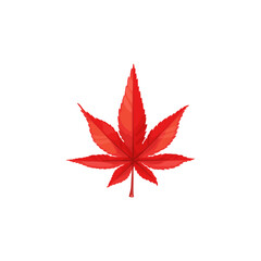 Autumn maple leaf vector icon, cartoon foliage, fallen tree leaf of red color, natural design element isolated botanical object on white background, sign
