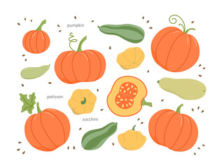 The set includes pumpkins, zucchini, and patissons.