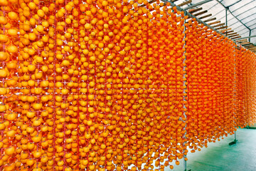 가을에 매달아 말리는 곶감