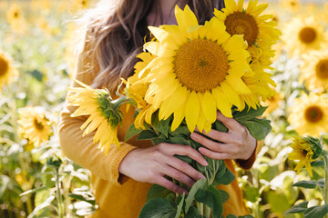 Young woman holds in her hands a yellow bouquet of sunflowers among a field of sunflowers. Fall and autumn time concept. © magic_cinema