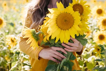 Rolgordijnen Young woman holds in her hands a yellow bouquet of sunflowers among a field of sunflowers. Fall and autumn time concept. © magic_cinema