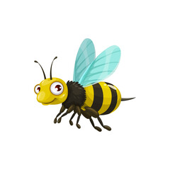 Cartoon bee vector icon, funny insect with striped body, cute face and big eyes. Kids club or apiary mascot, design element, wild flying creature isolated on white background