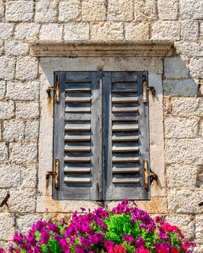 Window and flowers