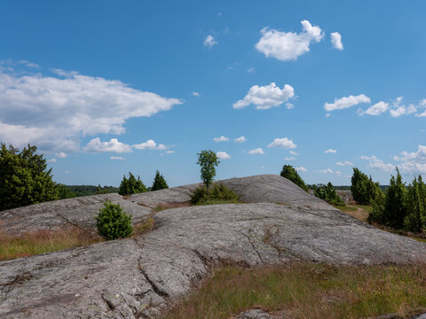 Cultural grass landscape with burial mounds from the viking age. Stones and trees scattered in the scene. Shot in Birka, Sweden, Scandinavia