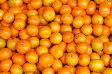 마트 진열대에 있는 재주도 귤, 밀감