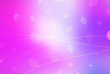 Fototapeta na wymiar Light Purple, Pink vector abstract pattern with trees, branches.