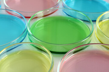 Petri dishes with colorful liquids on white table, closeup