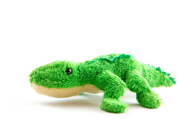 Green lizard plush toy isolated on white.