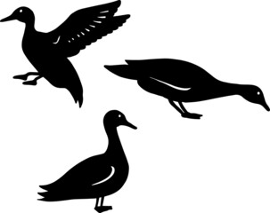 duck illustration silhouette