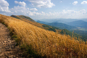 Tarnica   Bieszczady, Polska © K. Skubala