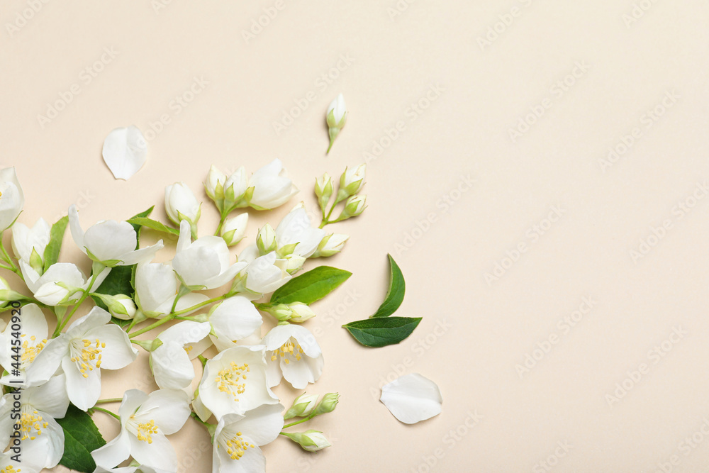 Poster Flat lay composition with beautiful jasmine flowers on beige background. Space for text