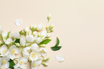 Flat lay composition with beautiful jasmine flowers on beige background. Space for text