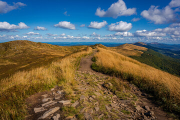 Połonina Wetlińska | Bieszczady, Polska