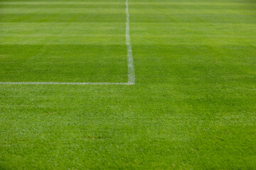 Fototapeta na wymiar white line marker corner on a green grass sports field, for soccer, football or other kind of sports