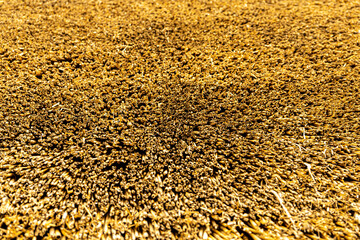 Close up of straw roof