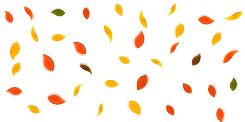 Falling autumn leaves. Red, yellow, green, brown n