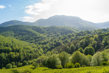 Obraz premium Montes praderas en el País Vasco (España).