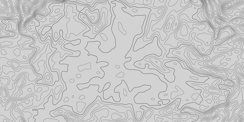Abstract topographic  background. Geographic  grid map. Topographic lines concept. Vector illustration.