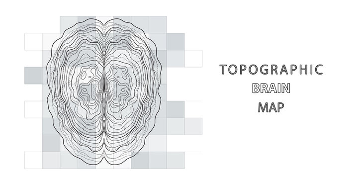 Abstract topographic map of human brain. Conceptual of creative and artificial intelligence. Futuristic forms of lines brain structure on white.
