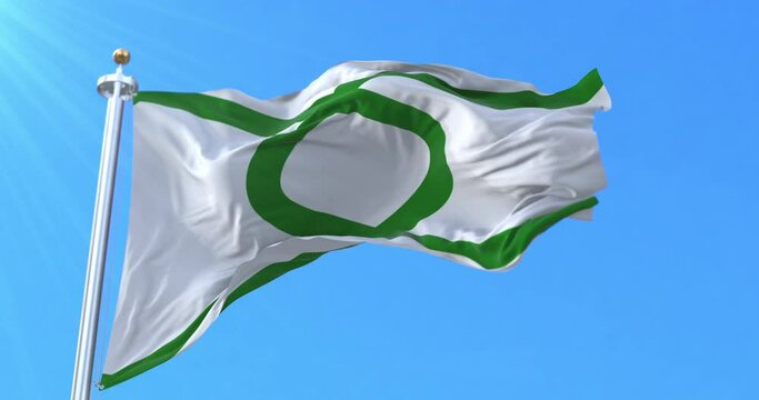 La Union city flag, Chile. Loop