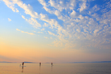 Fototapeta na wymiar standup paddle on a lake in summer at sunset