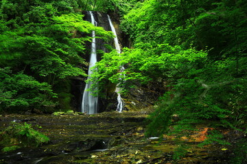 岩手県花巻市　夏の緒ヶ瀬の滝