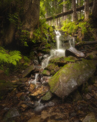 Waterfall in the summer forest. Colorful natural landscape with waterfall with blurry water in the mountains