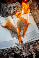 The notebook burns in the fire among the ashes.. Diary. Bonfire. Burning the diary in the fire. The...