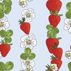 Vector pastel blue background garden strawberries, berry flowers, berries fruits. Seamless pattern background