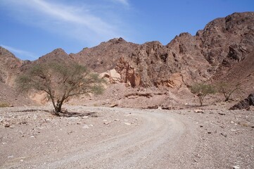 Hiking near Eilat in South Israel