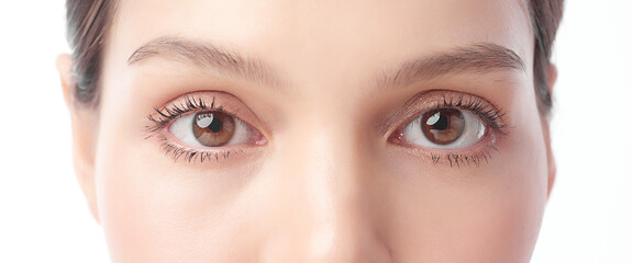 Eyes. Close up of beautiful young asian woman with brown eyes on white background,