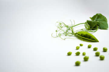 Fresh green pea pods with foliage on a white background. One pod is open, peas are visible.