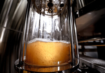 Craft beer brewing equipment in privat brewery