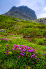Bitihorn mountain in Jotunheimen national park, Norway