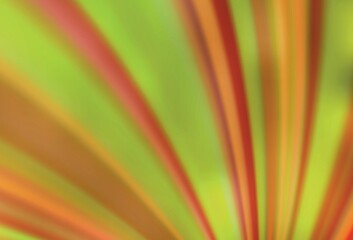 Light Orange vector glossy abstract backdrop.