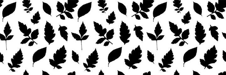 Leaf Collection. Leaves Flying. Seamless Pattern. et of Tree Branches, Herbs and Flowers Flat. Black and White Plants. Vector Silhouette. Garden Leaves.