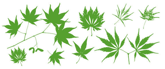 Hemp Leaves. Leaf Collection. Set of Herbs, Leaves Flat. Green Plants. Vector Silhouette. Garden Leaves. Single Leaf and Branch Composition. 