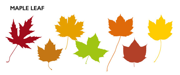 Leaf Collection. Canadian Symbol. Maple Leaf Set. Autumn Mood. Tree Branches, Herbs and Flowers. Flat Collection. Vector Silhouette. Garden Leaves.