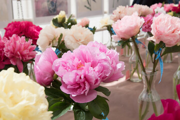 Floral exhibition. Peonies of different colors are in transparent vases. Various varieties of beautiful flowers