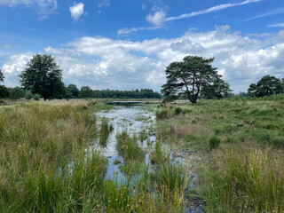 Lake in National Park Drents-Friese Wold in Drenthe